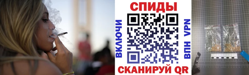 Купить где  Шадринск  БУТИРАТ буратино 