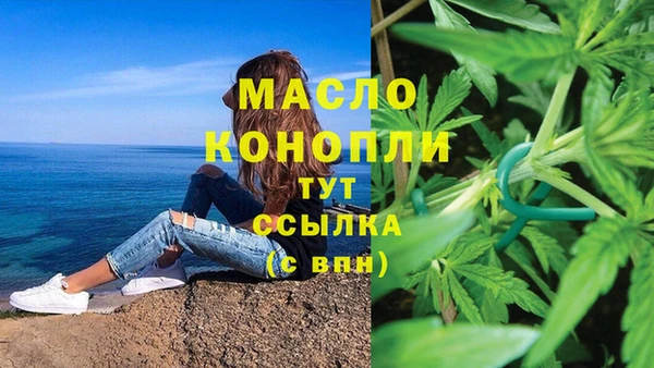 мяу мяу мука Дмитриев